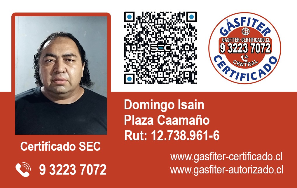 Gasfiter Calificado Autorizado SEC Domingo Isain 